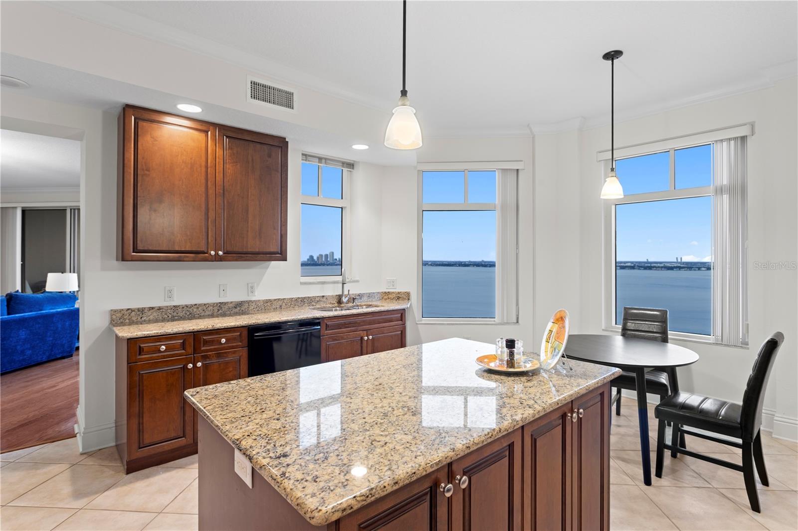 Image 22 of 82 For 4201 Bayshore Boulevard 1902