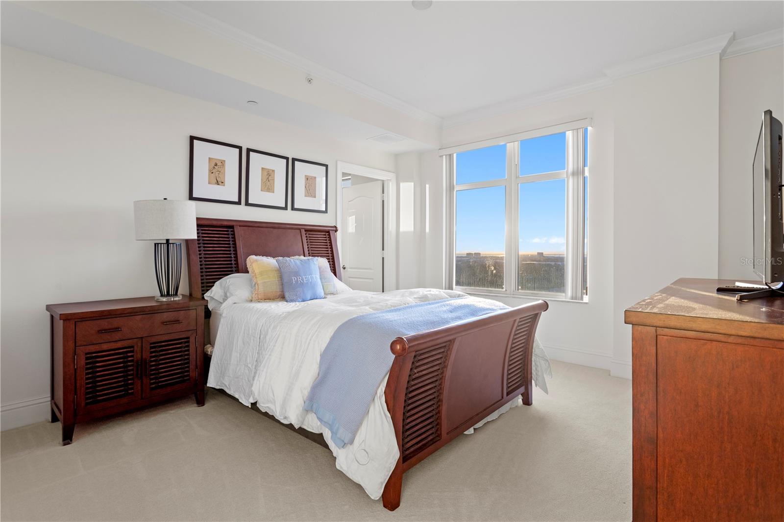 Image 36 of 82 For 4201 Bayshore Boulevard 1902