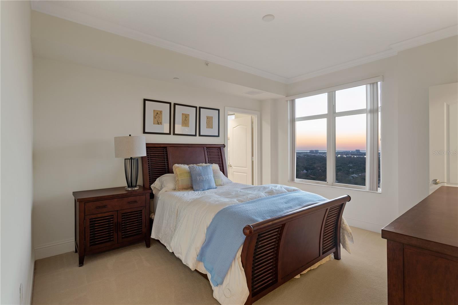 Image 37 of 82 For 4201 Bayshore Boulevard 1902