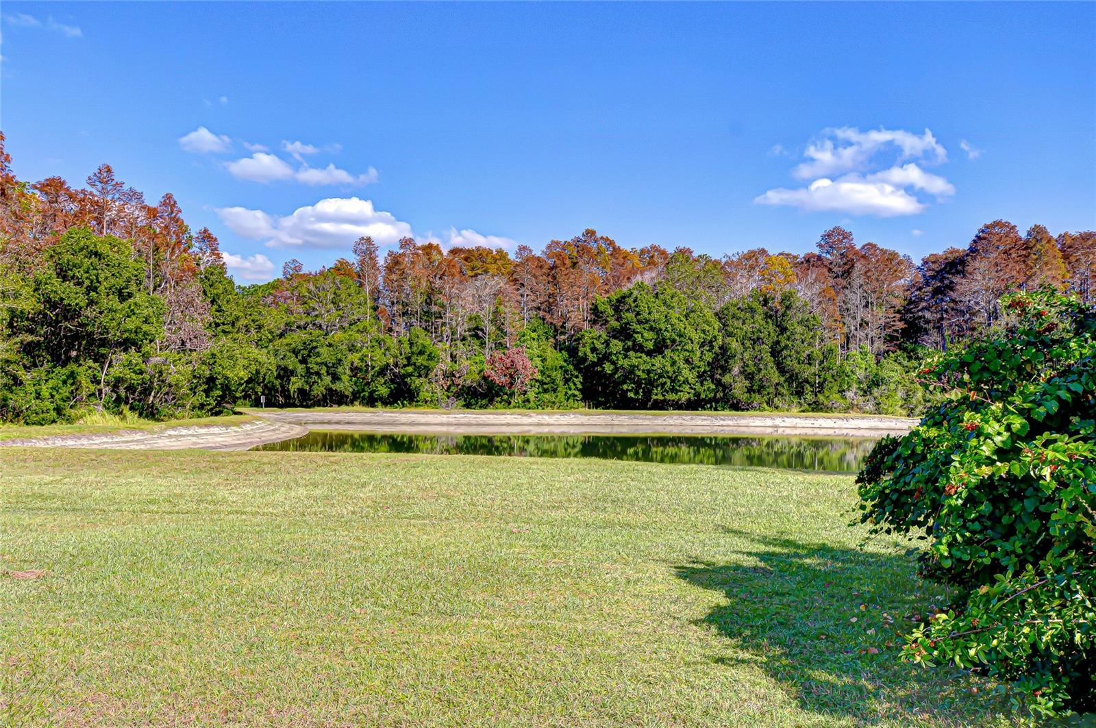 Image 12 of 42 For 19414 Morden Blush Drive