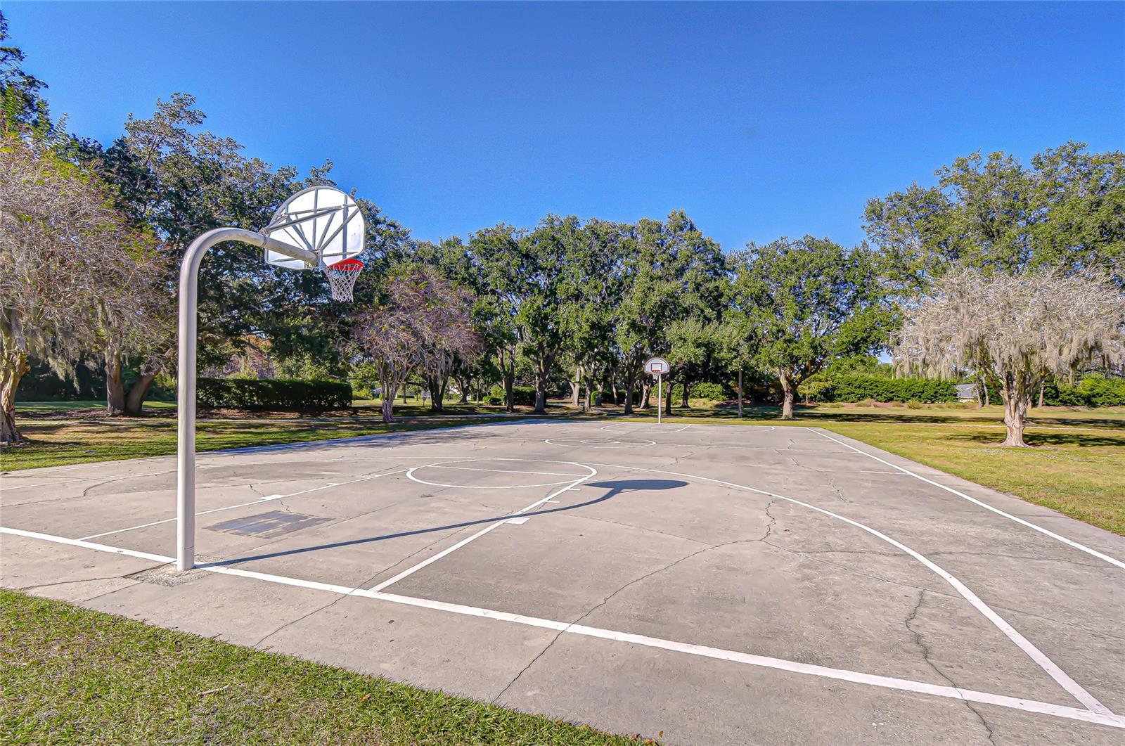 Image 35 of 42 For 19414 Morden Blush Drive