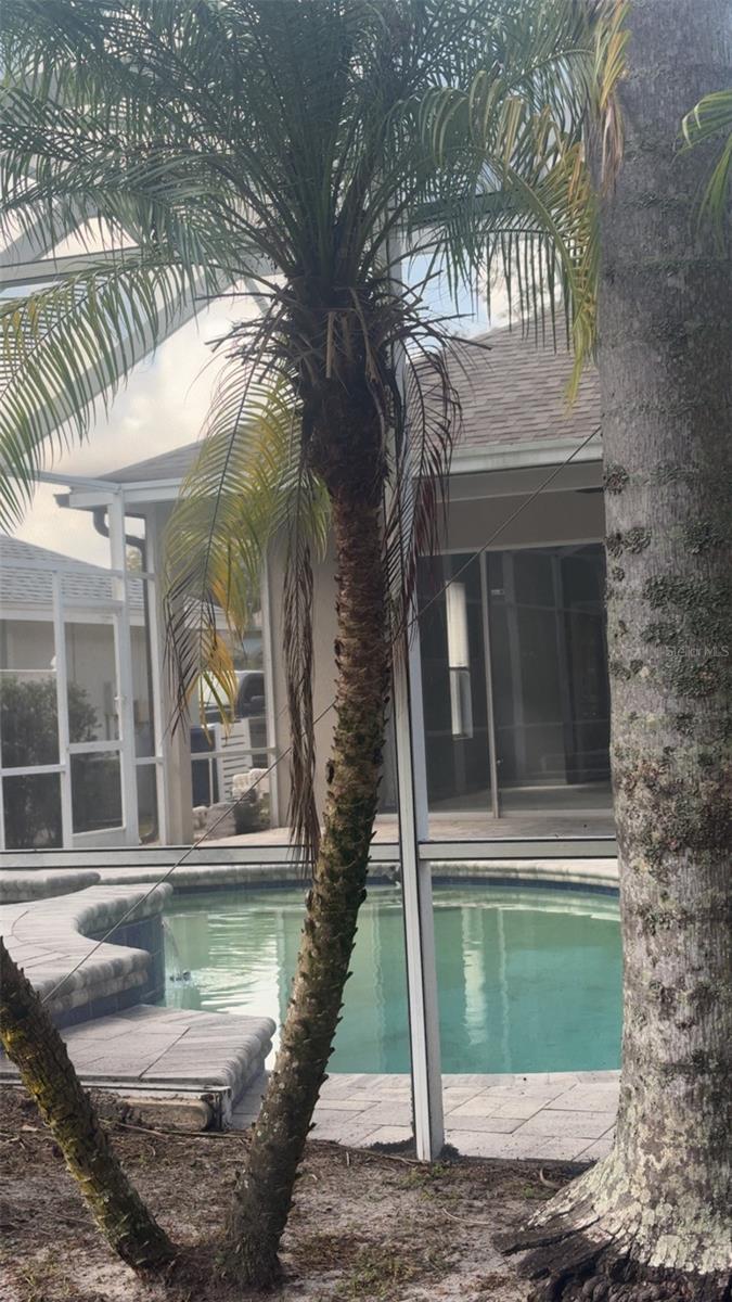 Image 23 of 23 For 8543 Basuto Drive