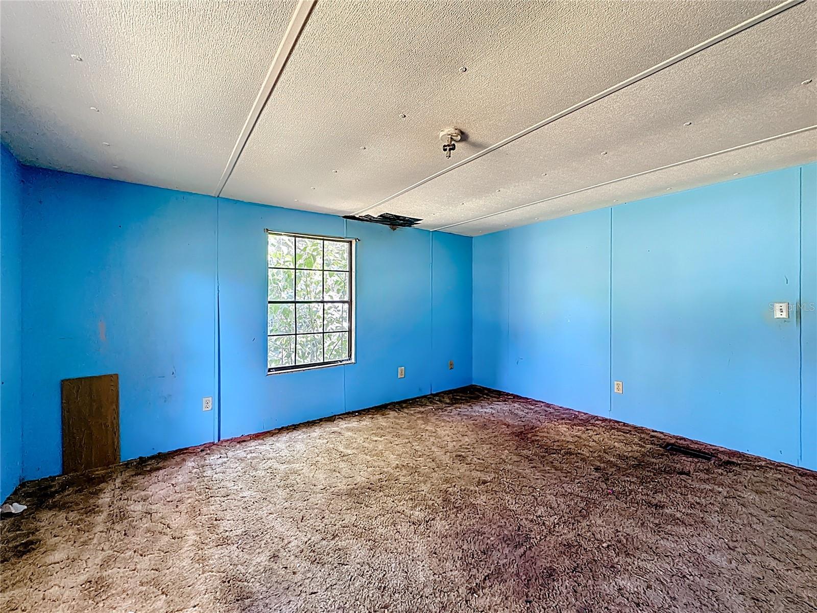 Image 24 of 31 For 111 Mulberry Street