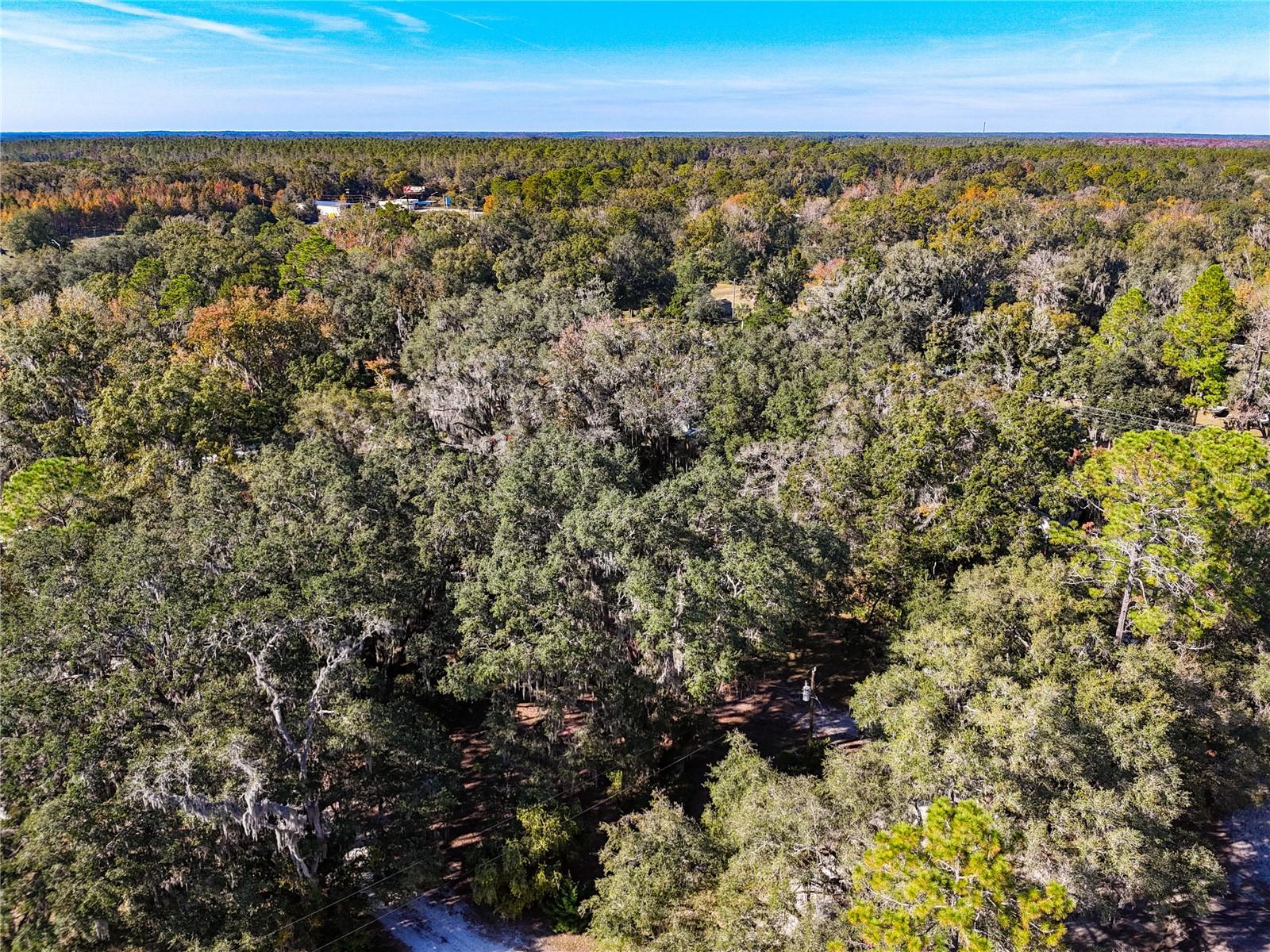 Image 6 of 31 For 111 Mulberry Street