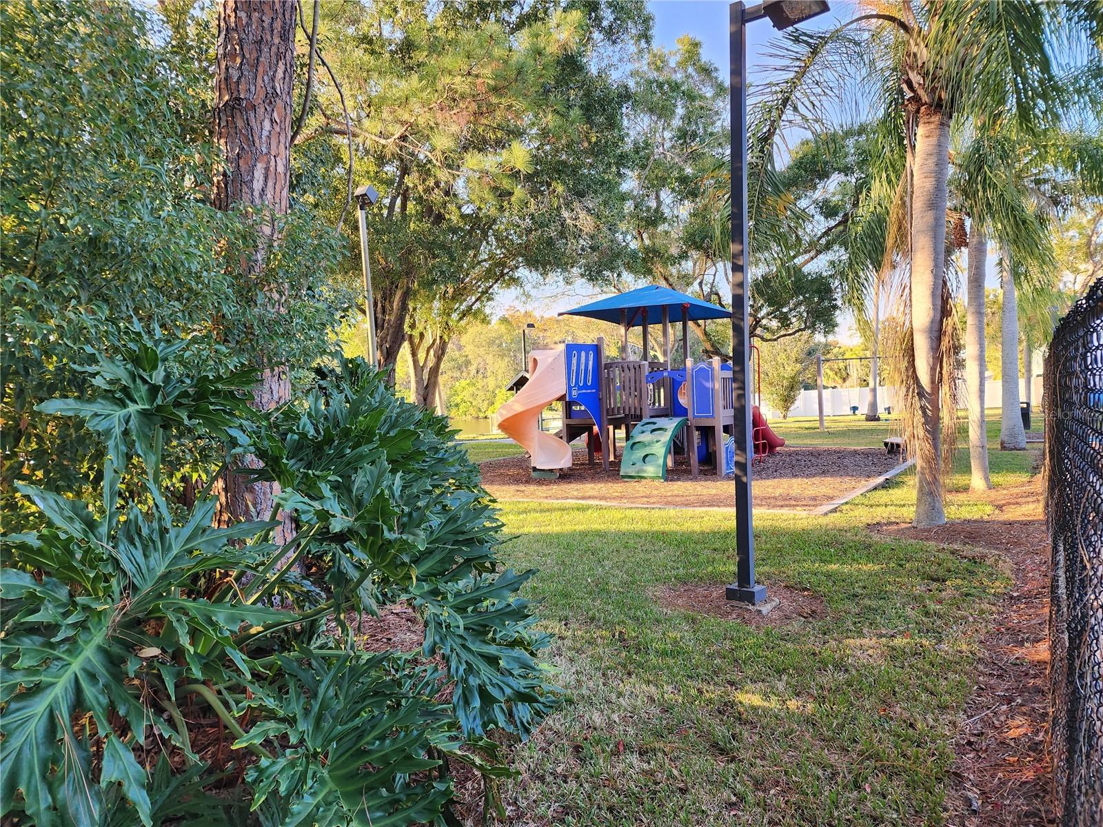 Image 4 of 10 For 1206 Sawgrass Court