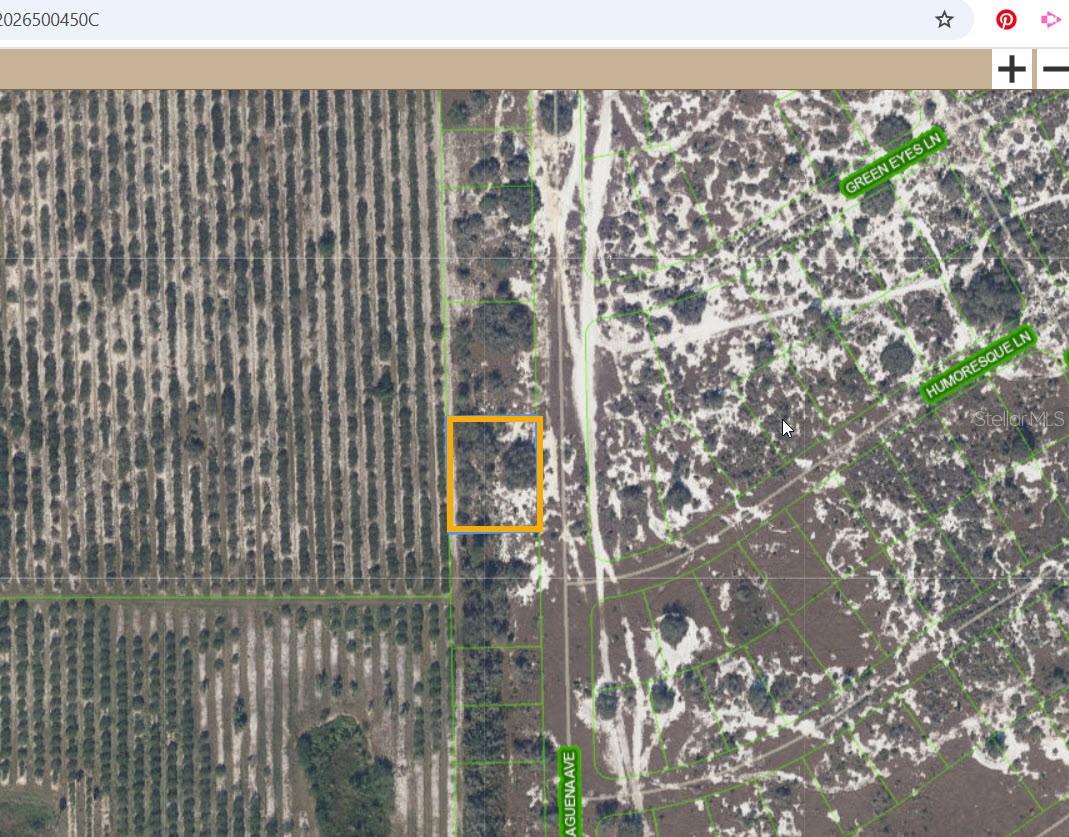 Listing Details for 725 Malaguena Avenue, LAKE PLACID, FL 33852