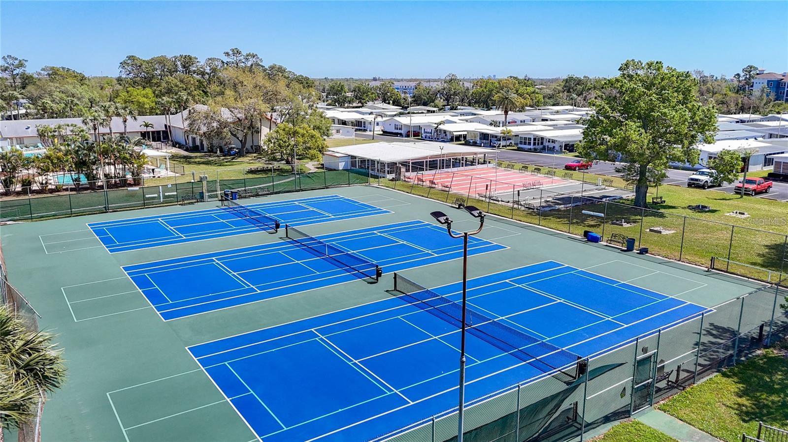 Image 29 of 29 For 261 Sago Palm Street