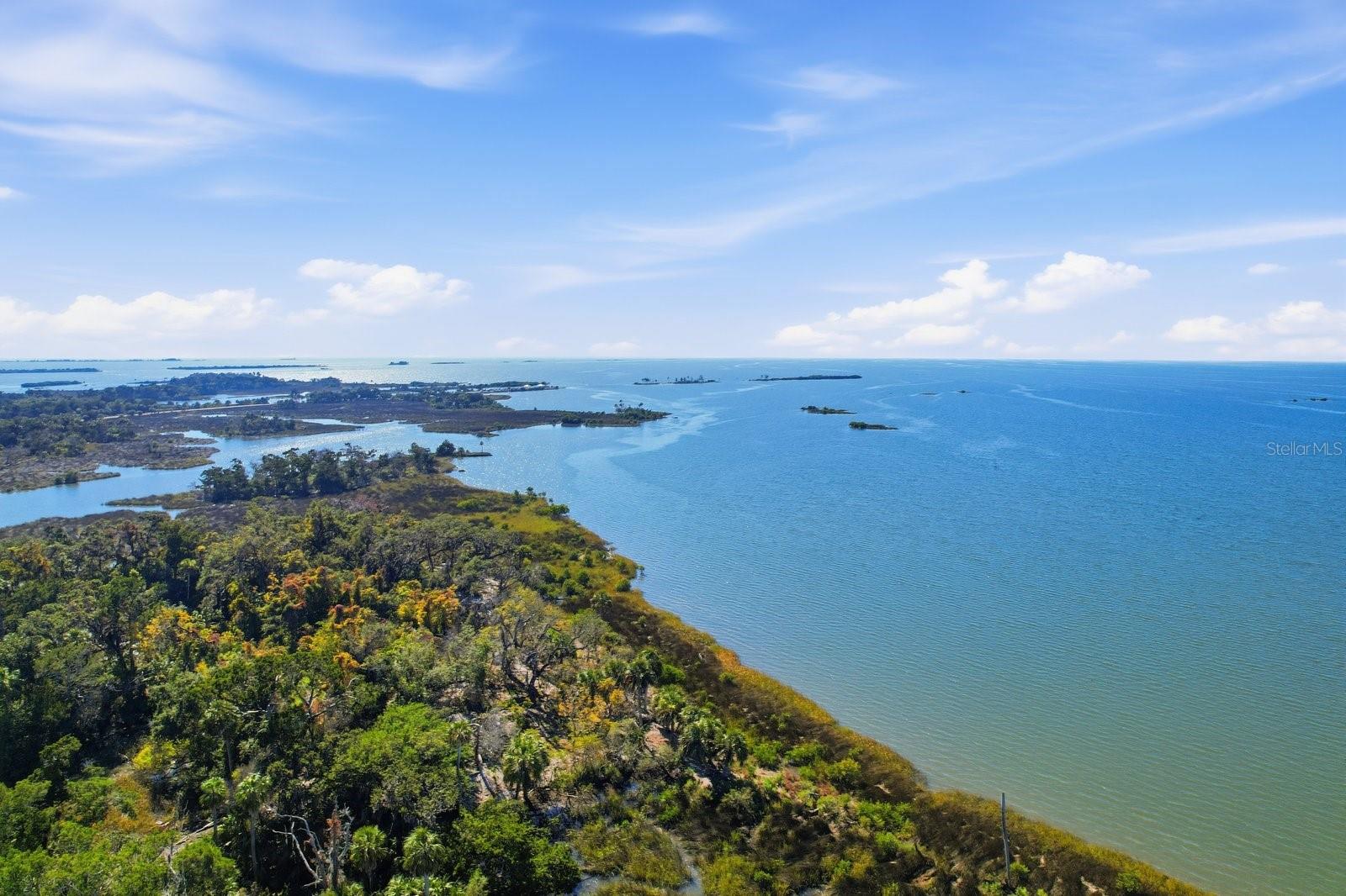 Image 48 of 53 For 5 Palm Drive