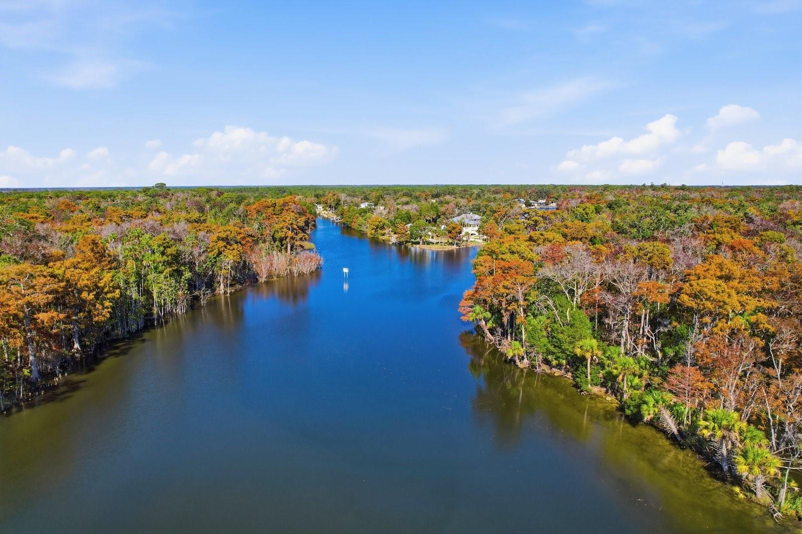 Image 49 of 53 For 5 Palm Drive