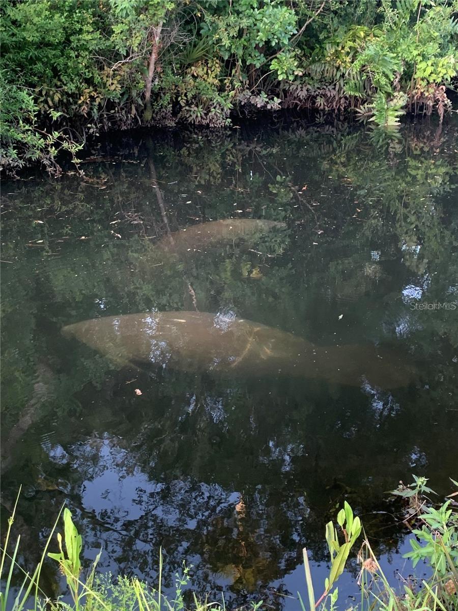 Image 67 of 68 For 5320 Riverwalk Preserve Drive