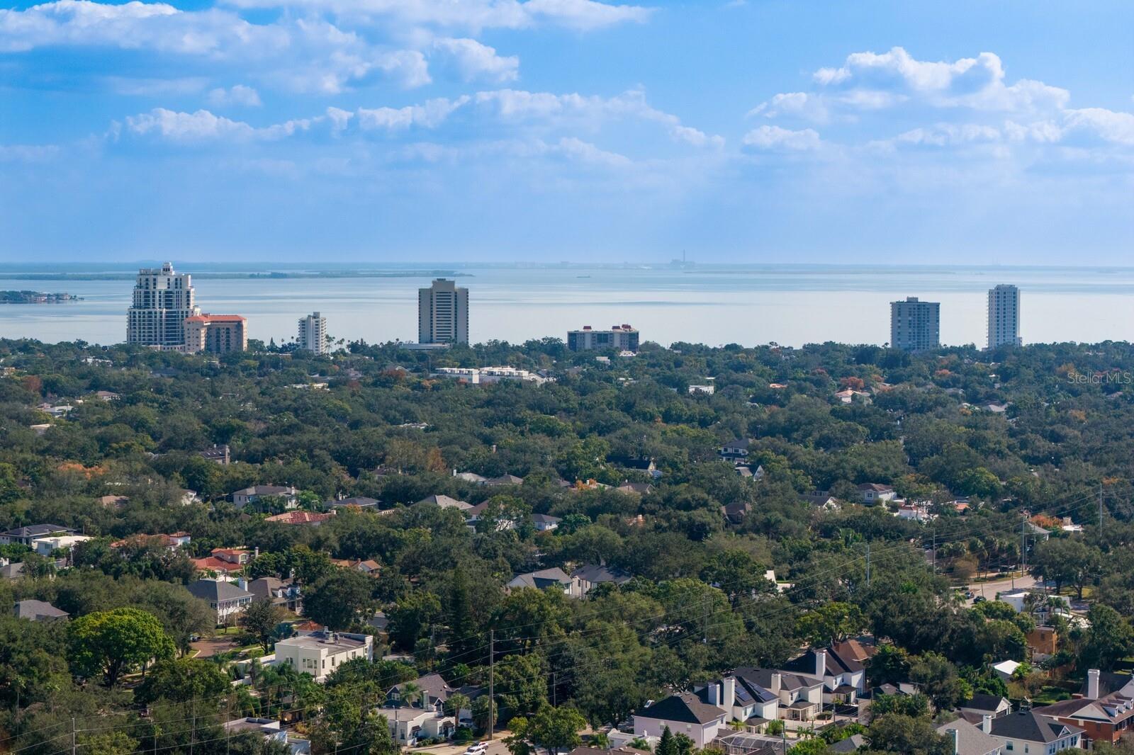 Image 38 of 54 For 3211 Swann Avenue 204