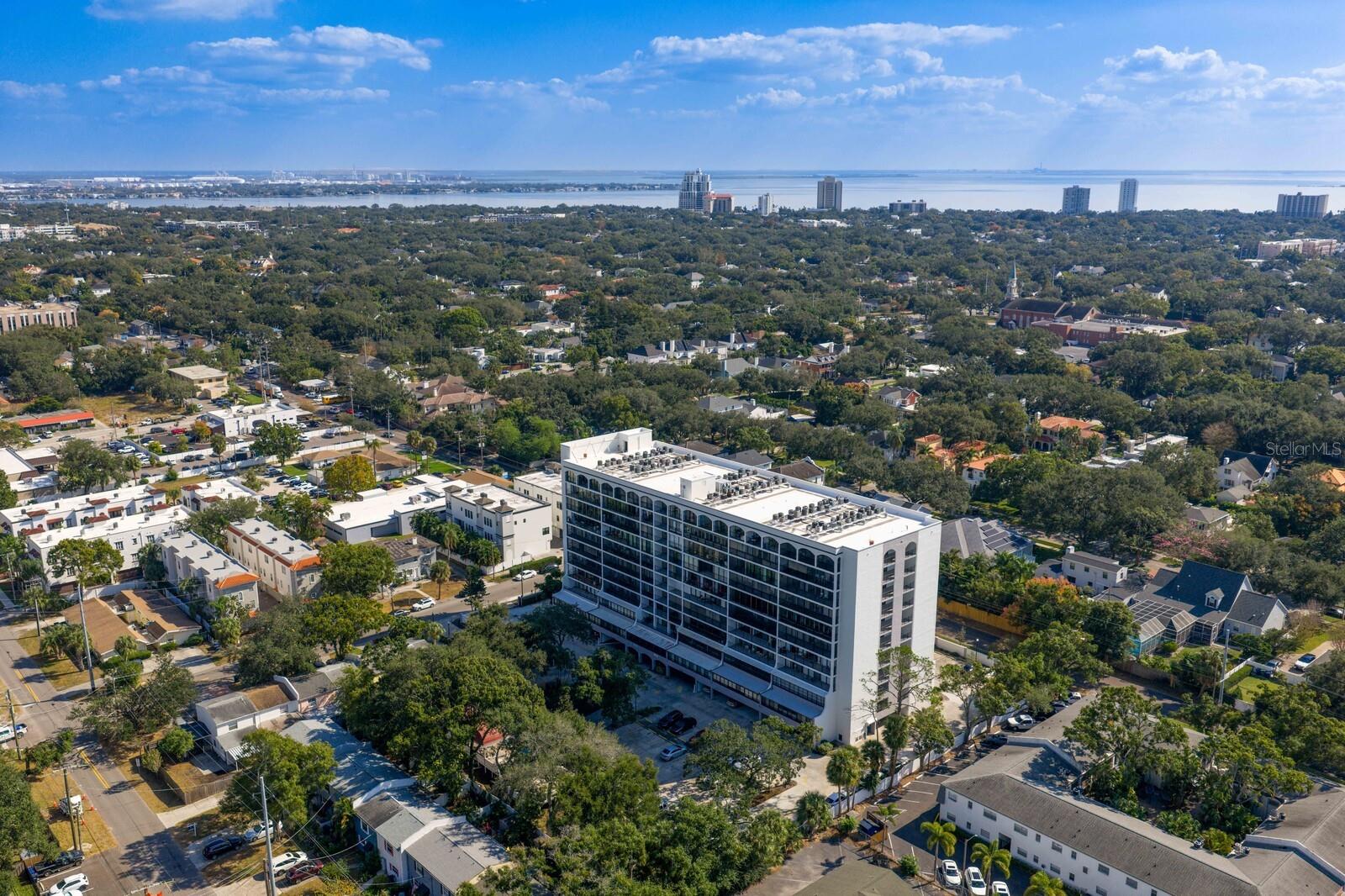 Image 43 of 54 For 3211 Swann Avenue 204