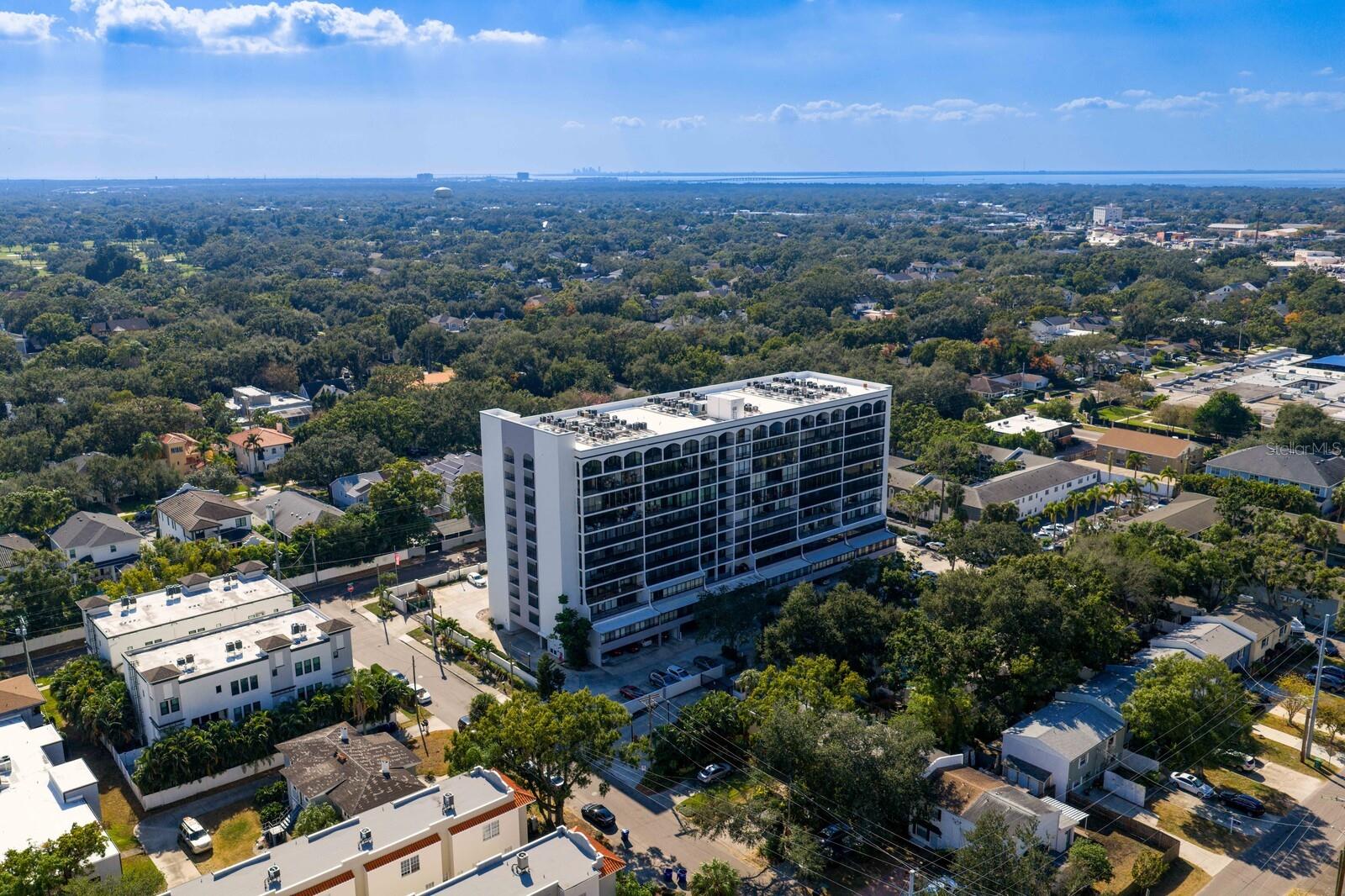 Image 49 of 54 For 3211 Swann Avenue 204