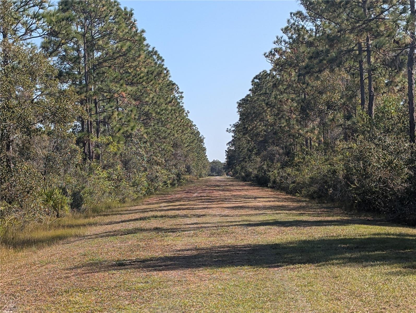 Image 10 of 52 For El Dorado Drive