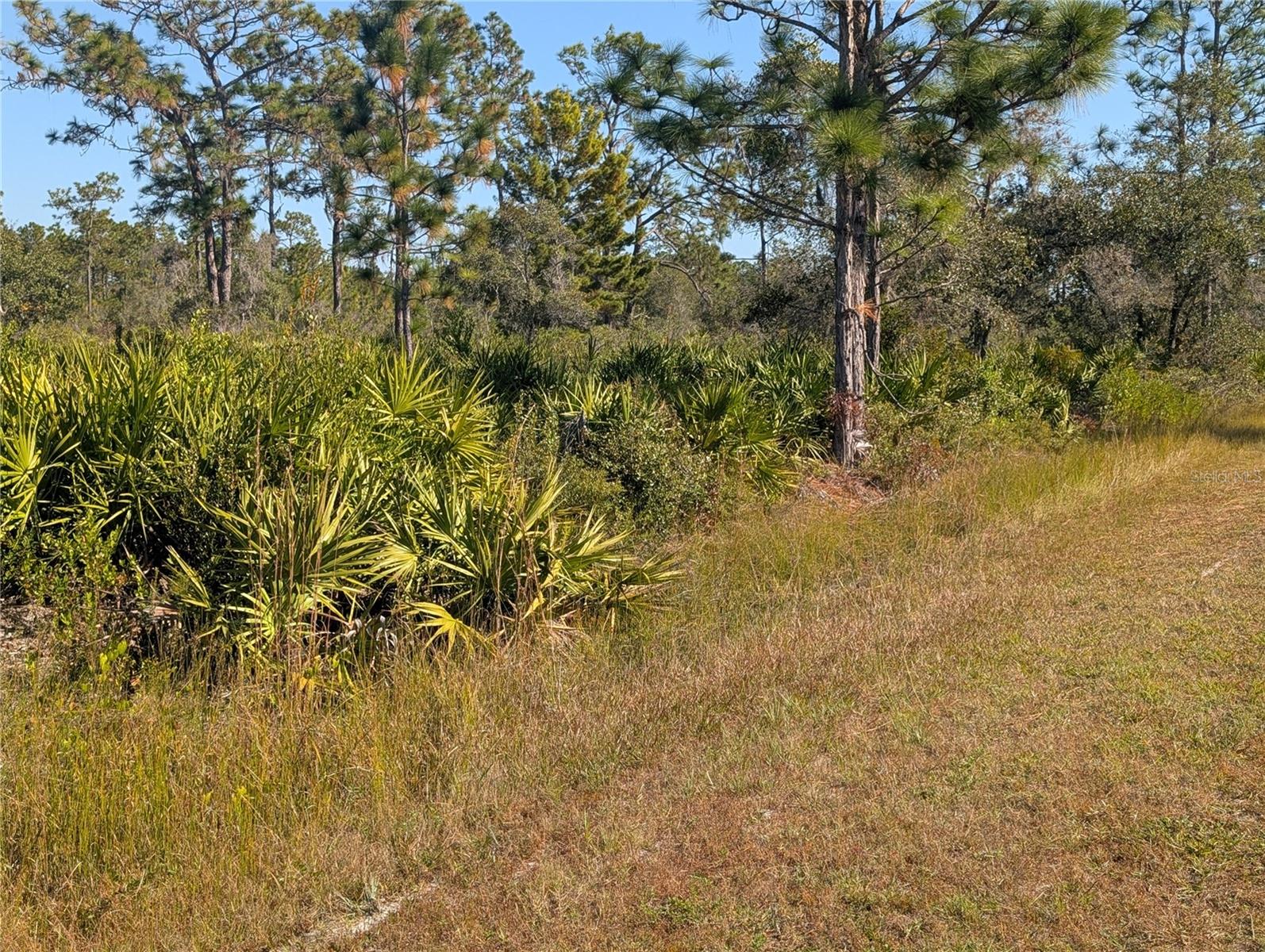 Image 11 of 52 For El Dorado Drive