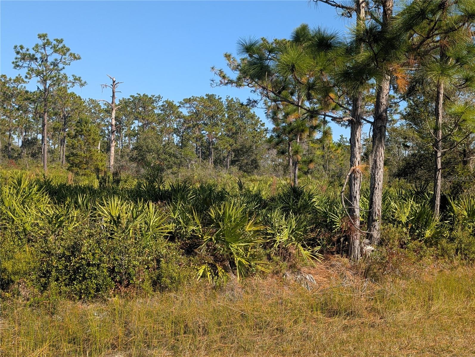 Image 5 of 52 For El Dorado Drive
