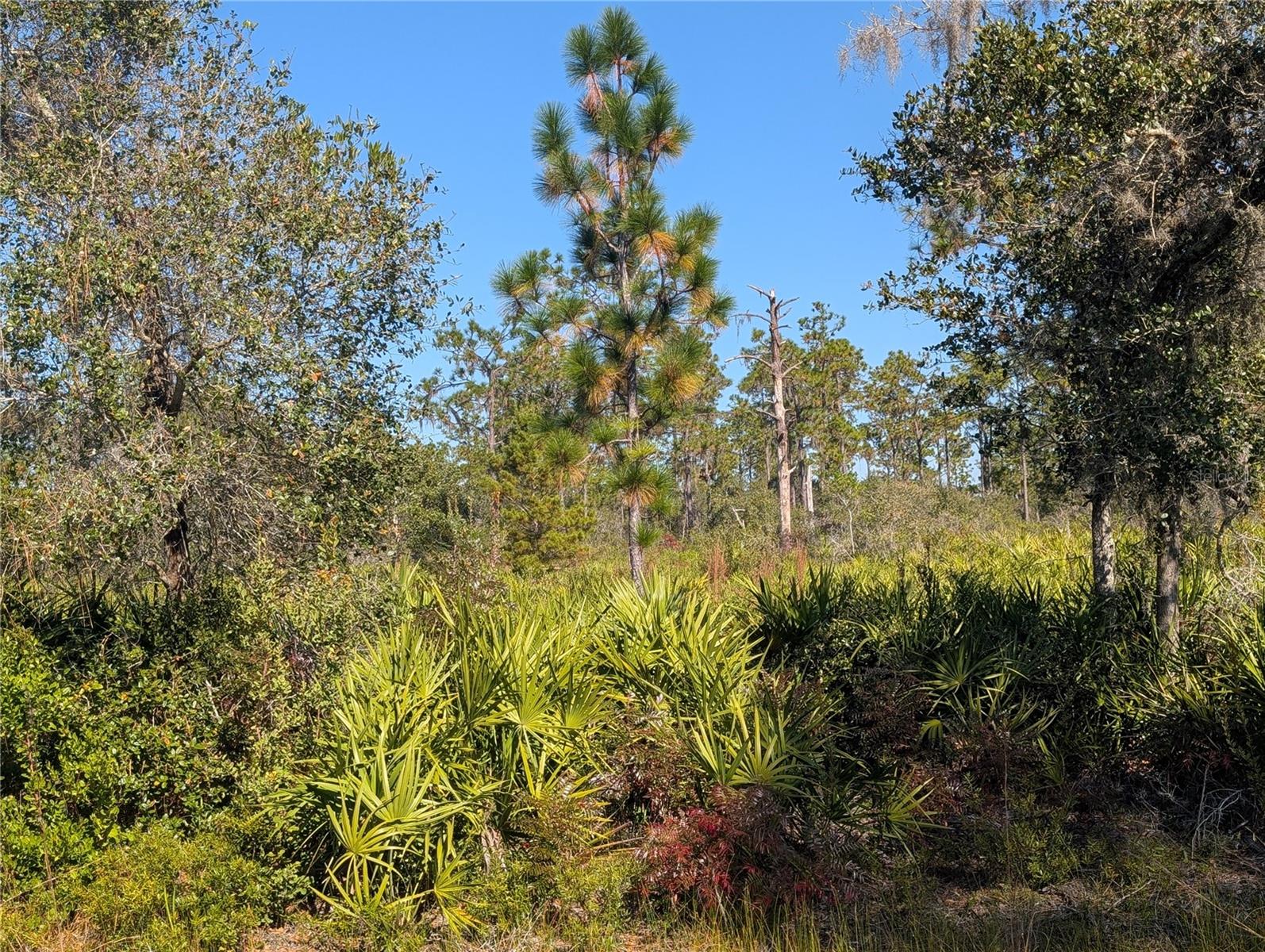 Image 7 of 52 For El Dorado Drive