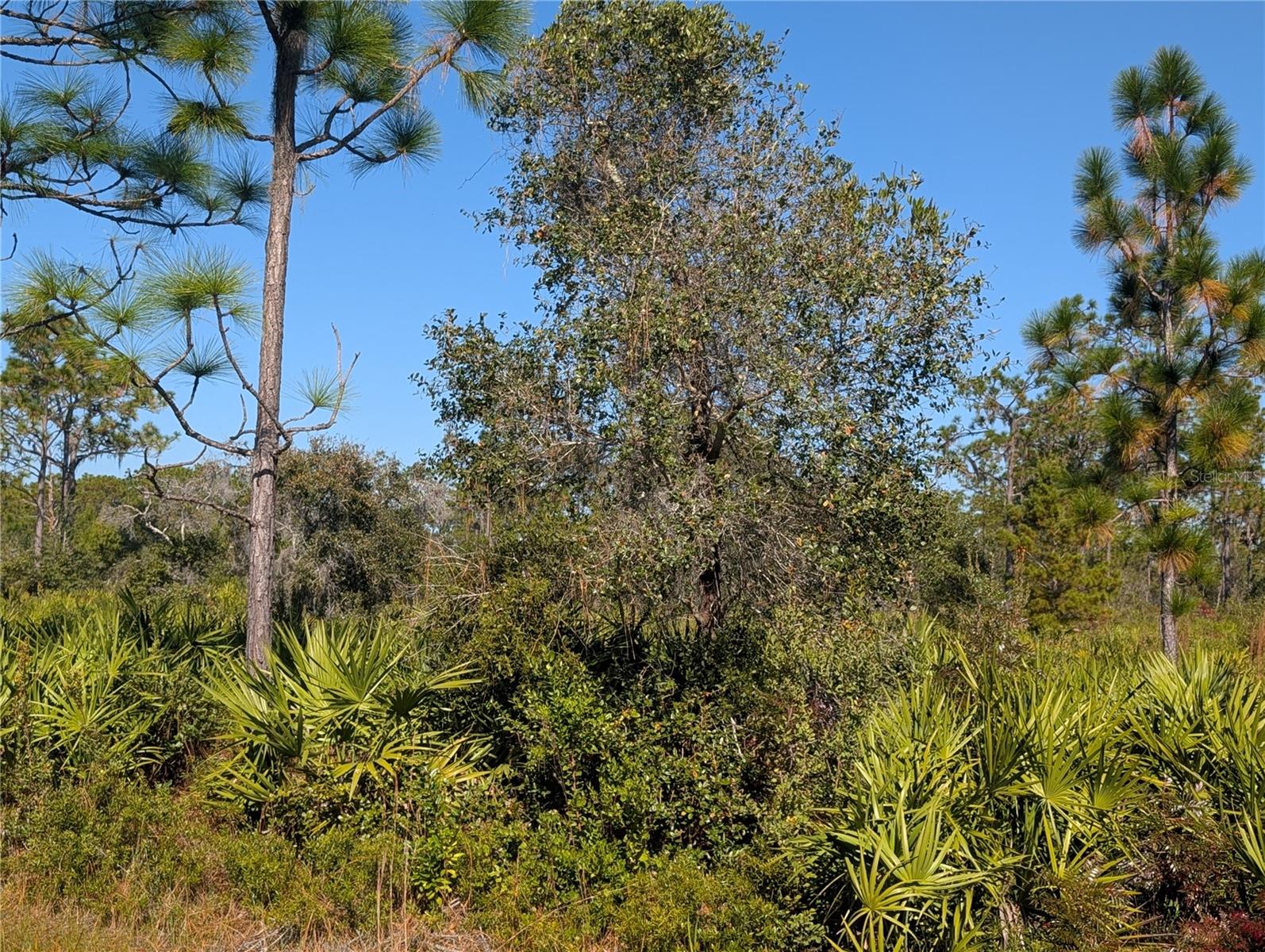 Image 8 of 52 For El Dorado Drive