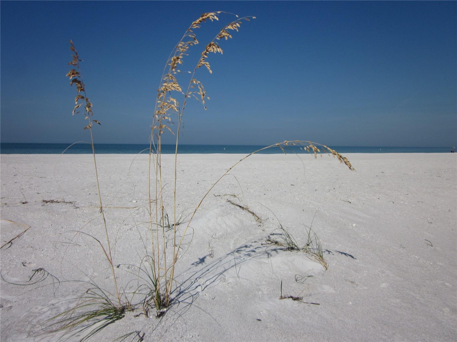 Image 28 of 31 For 1400 Gulf Boulevard 608