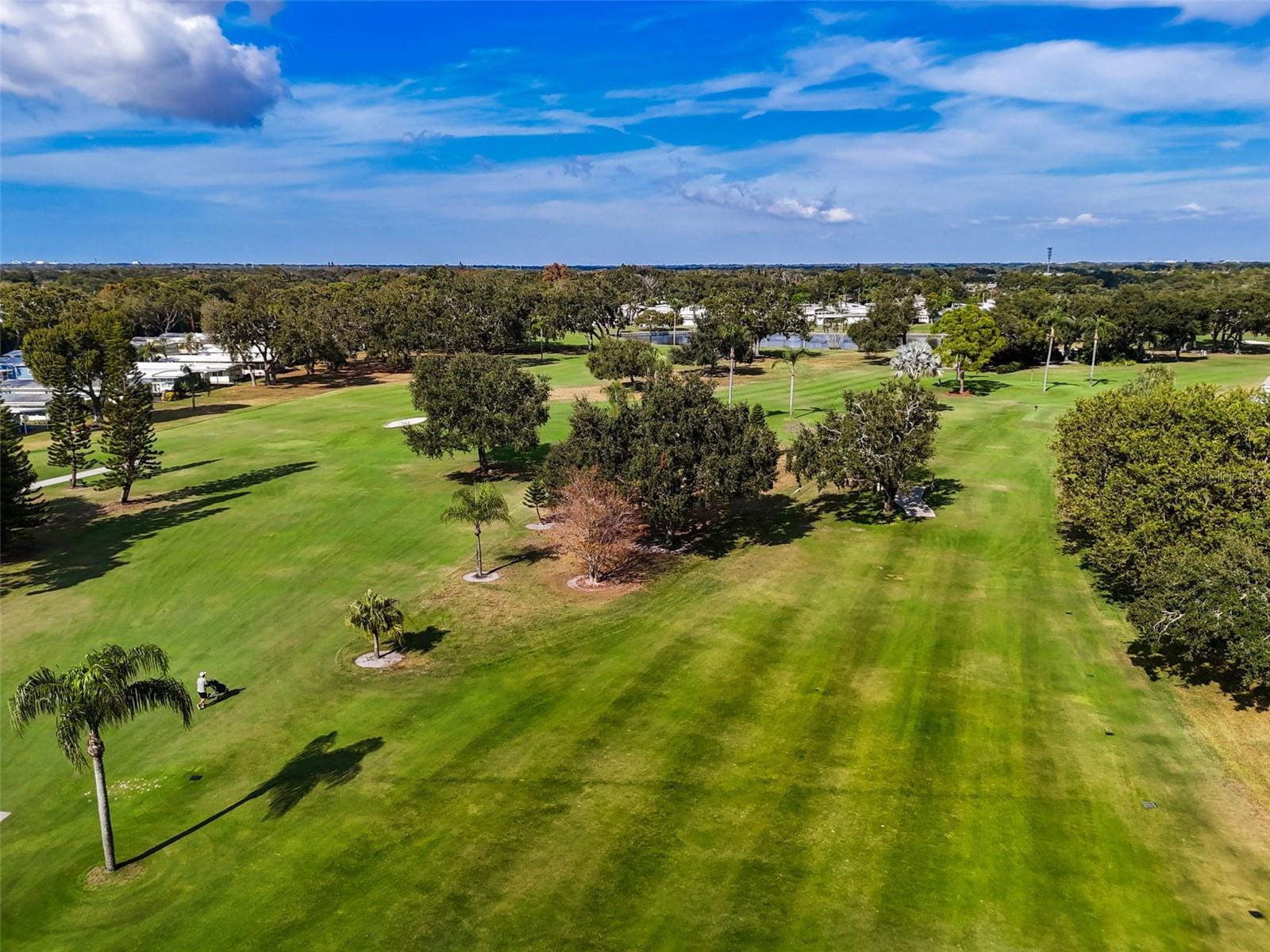 Image 62 of 68 For 1100 Belcher Road S 720