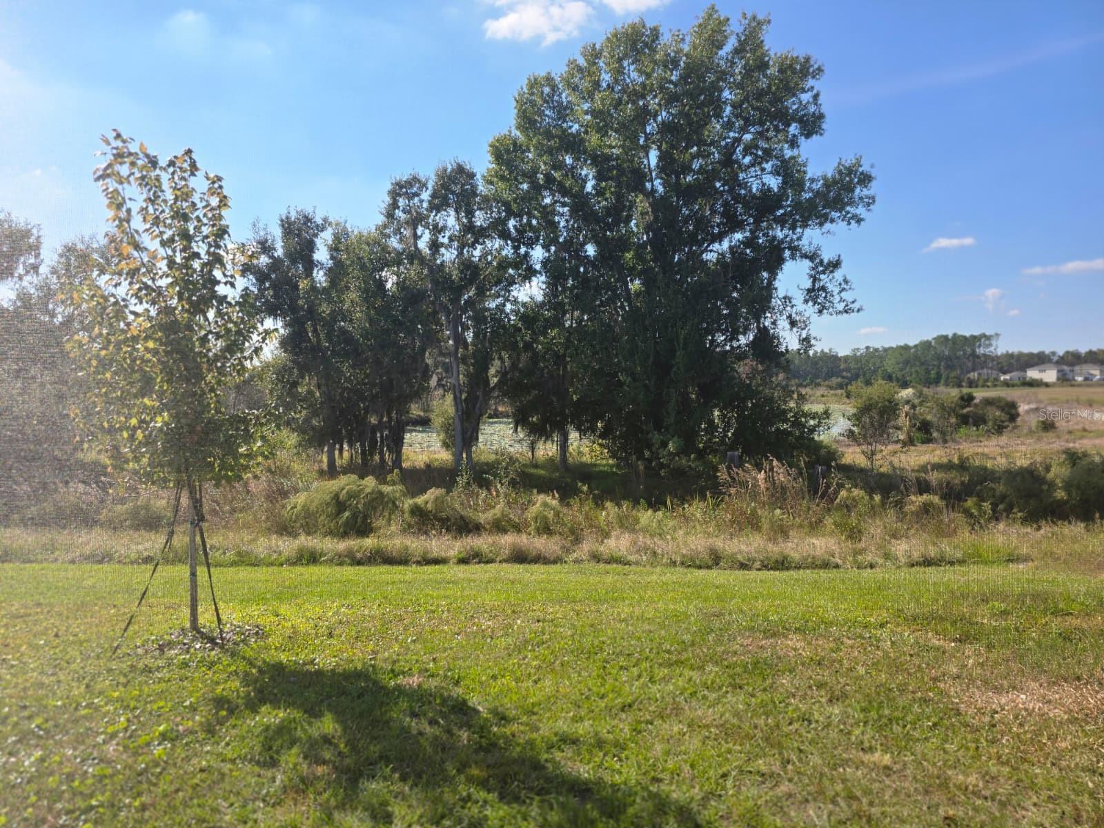 Image 45 of 48 For 6779 Flint Creek Drive