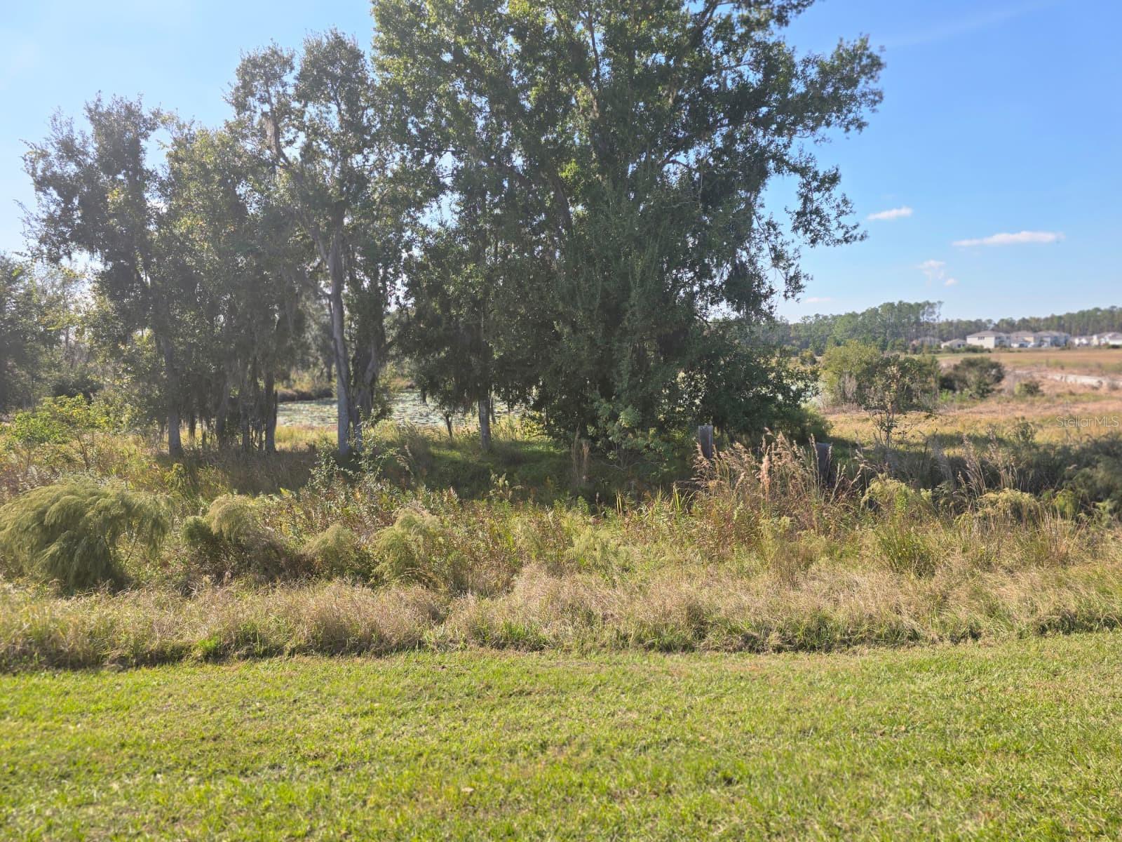 Image 46 of 48 For 6779 Flint Creek Drive