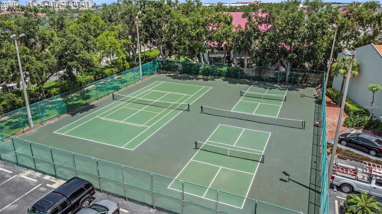 Image 35 of 40 For 1515 Pinellas Bayway S 14