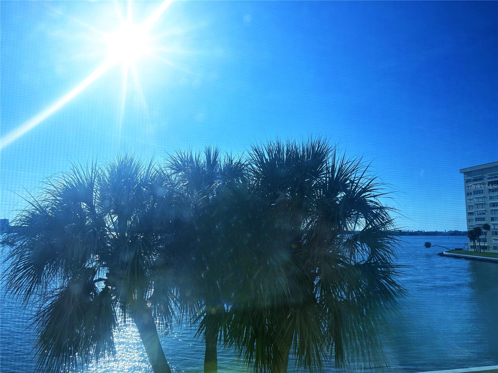 Image 14 of 25 For 4525 Cove Circle 304