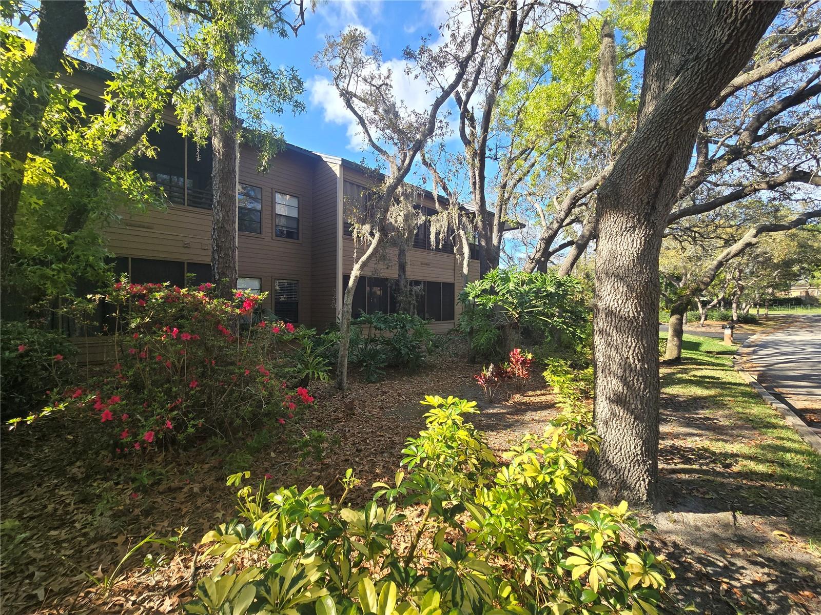 Image 2 of 52 For 103 Cypress Pond Road 103