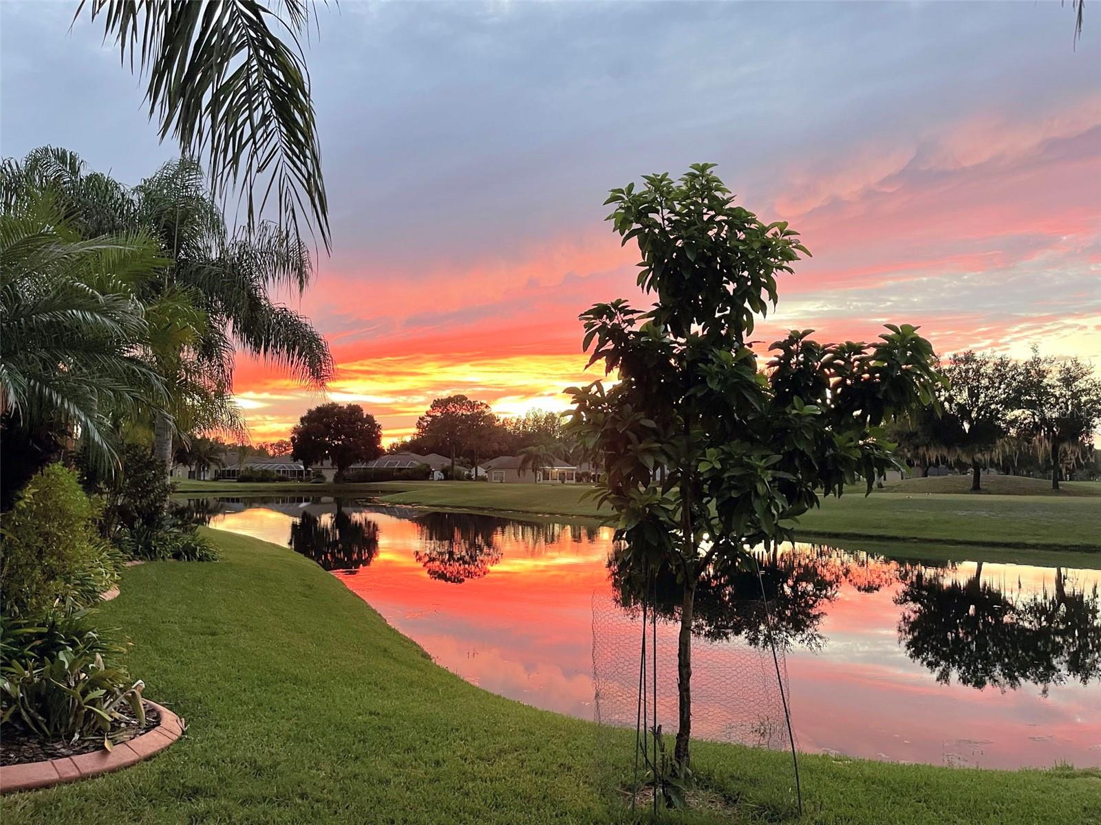 Image 2 of 64 For 25745 Unbridled Court