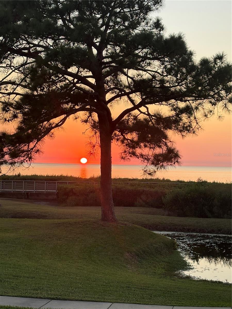 Image 3 of 38 For 621 Windrush Bay Drive 621