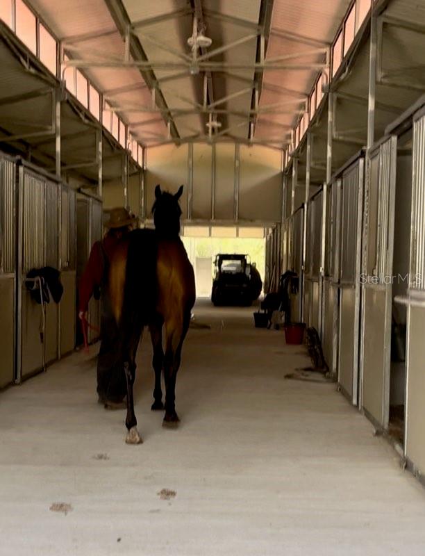 Details for 14192 Ermine Owl Road, BROOKSVILLE, FL 34614