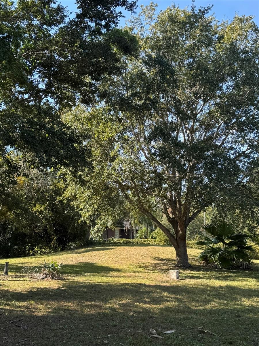 Image 16 of 67 For 19814 Moorgate Street