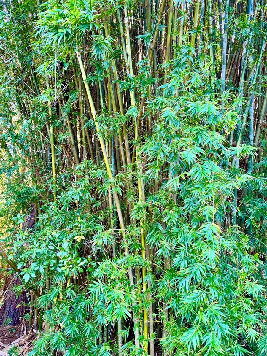 Image 17 of 67 For 19814 Moorgate Street