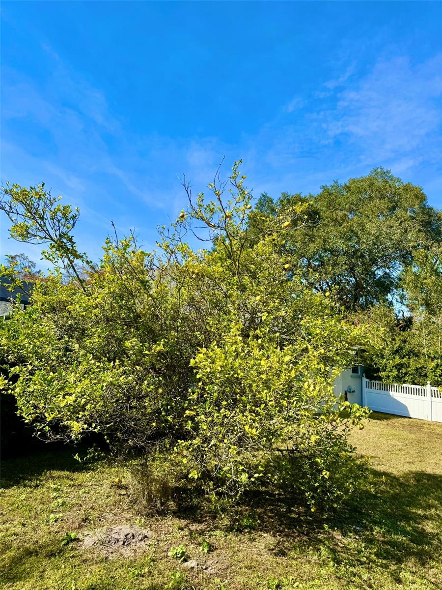 Image 18 of 67 For 19814 Moorgate Street