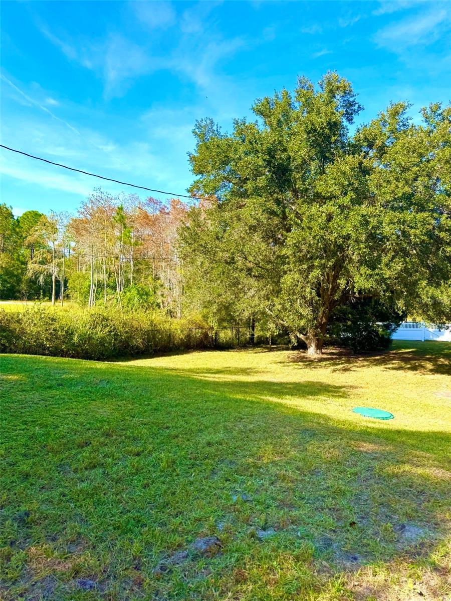 Image 19 of 67 For 19814 Moorgate Street