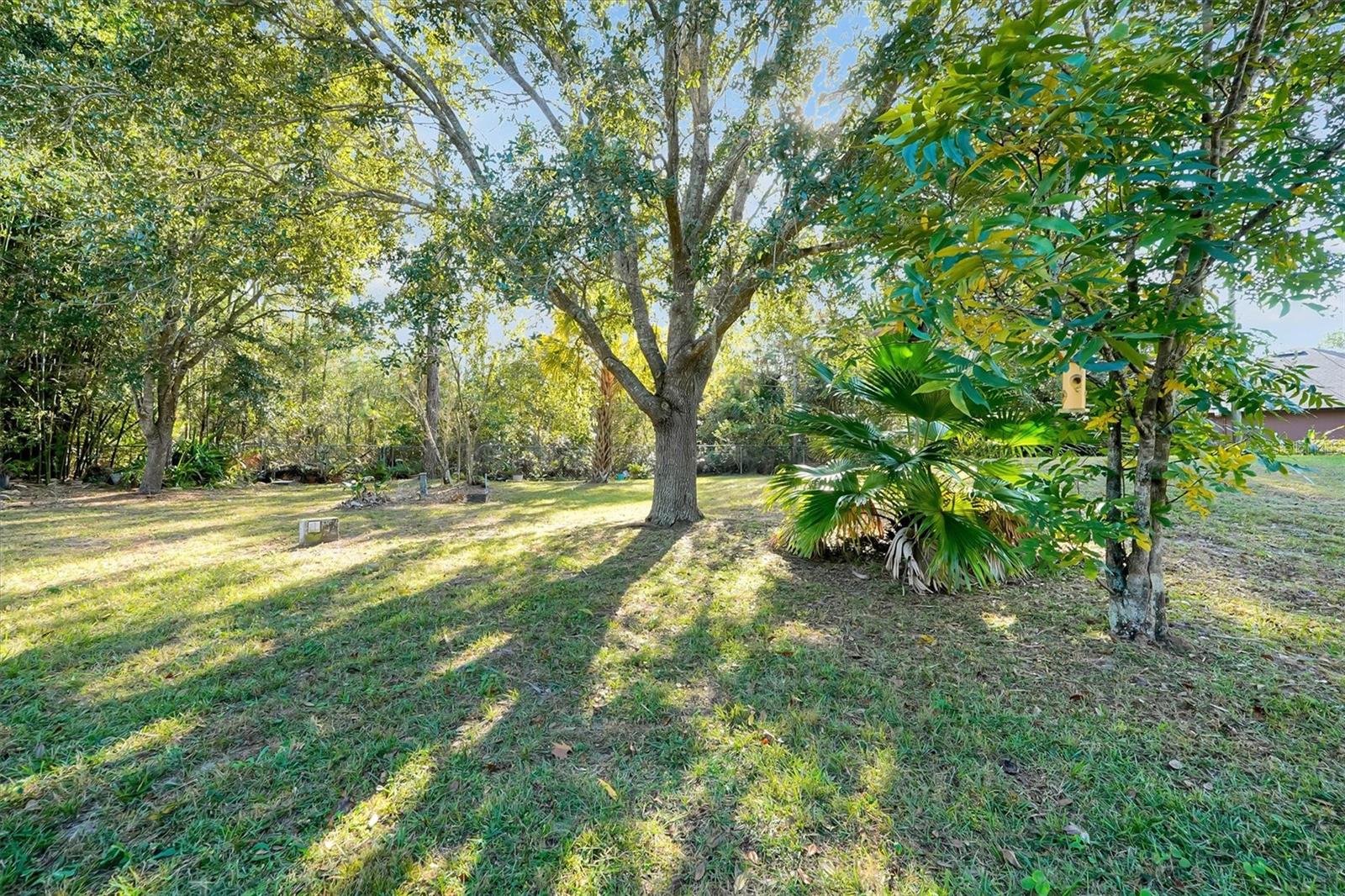 Image 45 of 67 For 19814 Moorgate Street