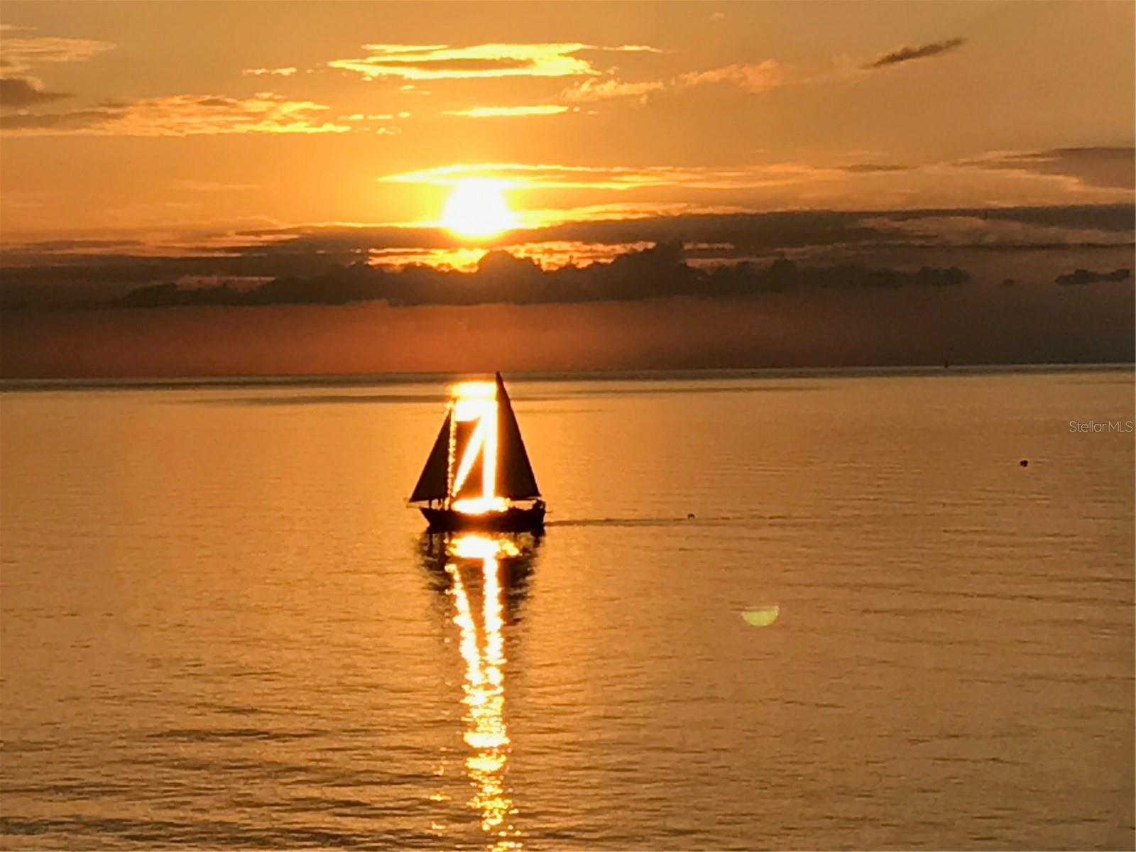 Image 55 of 55 For 15 Somerset Street 4a