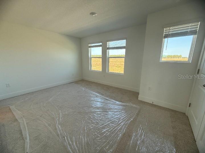 Image 17 of 37 For 15375 Hamlin Park Drive