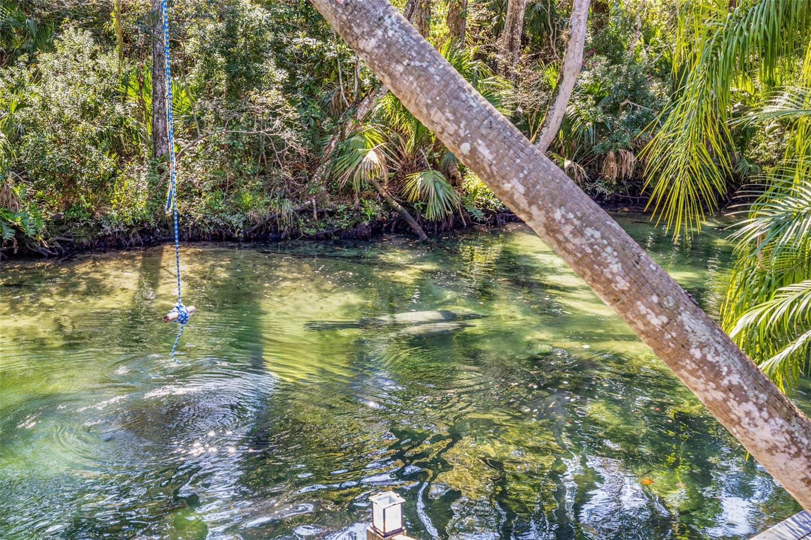 Image 4 of 50 For 6110 Bear Trail