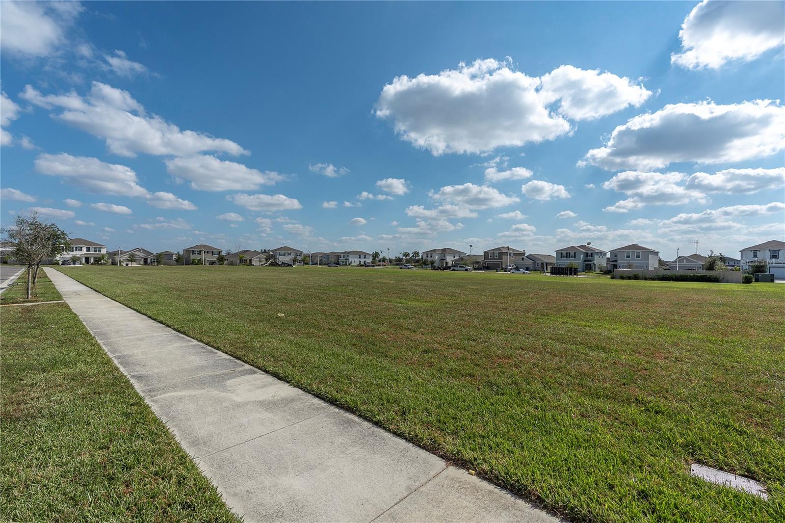 Image 29 of 42 For 31130 Penny Surf Loop