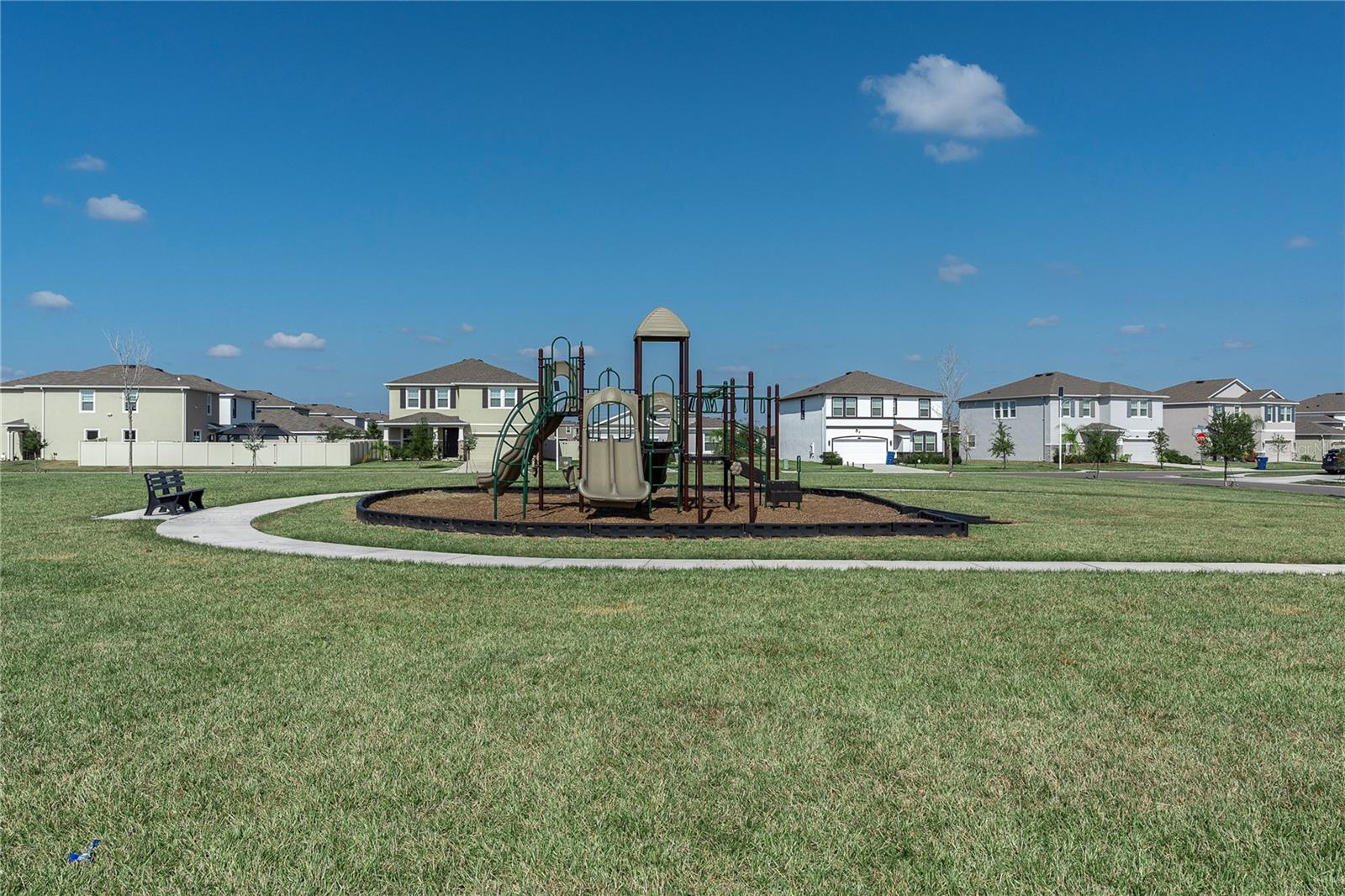 Image 30 of 42 For 31130 Penny Surf Loop