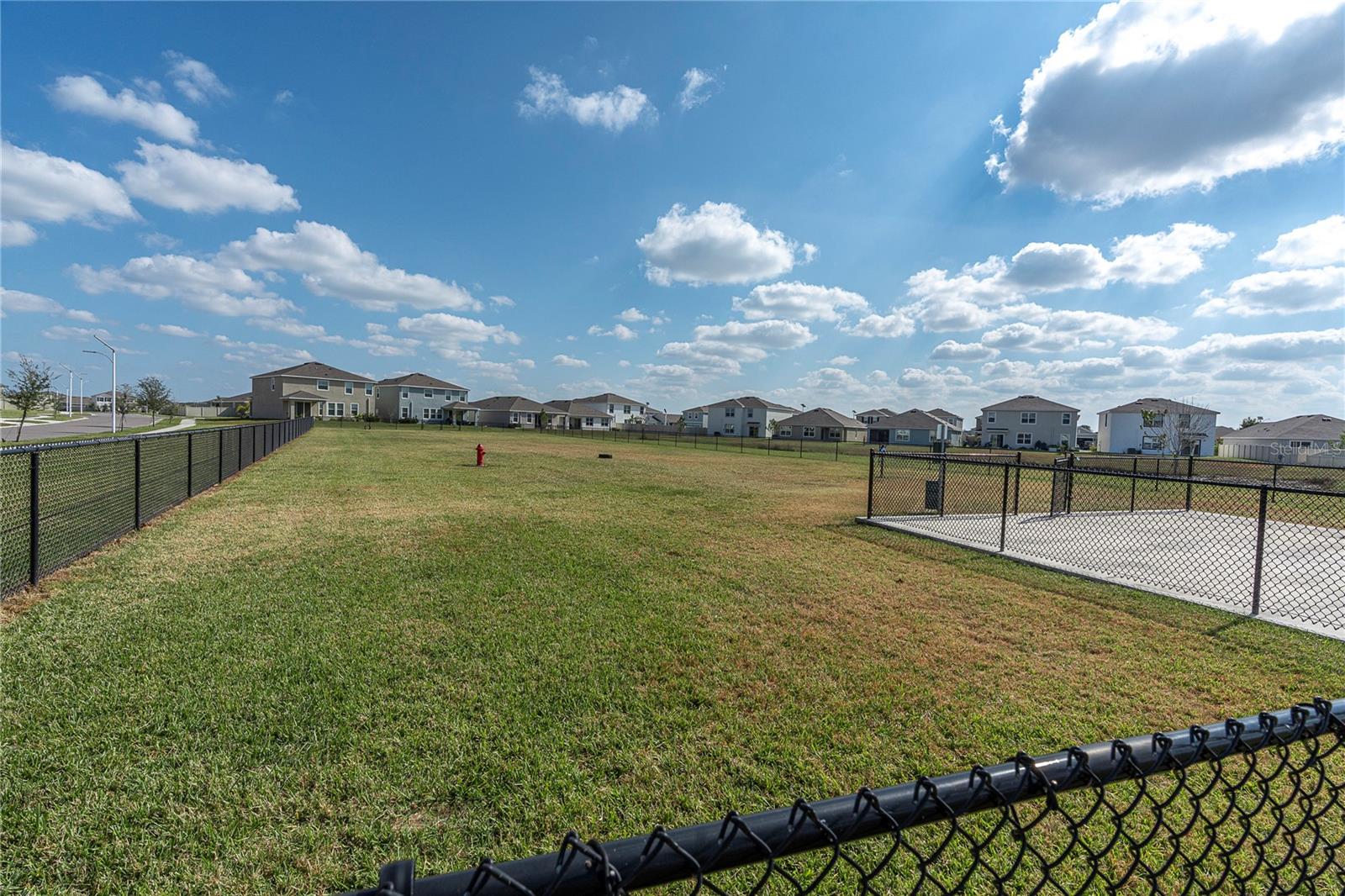 Image 31 of 42 For 31130 Penny Surf Loop