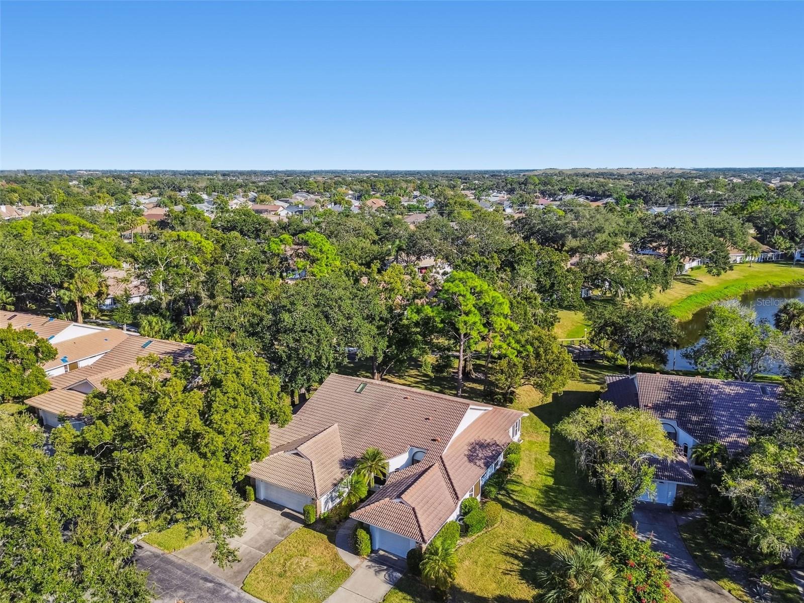 Image 33 of 49 For 5729 Garden Lakes Palm 98