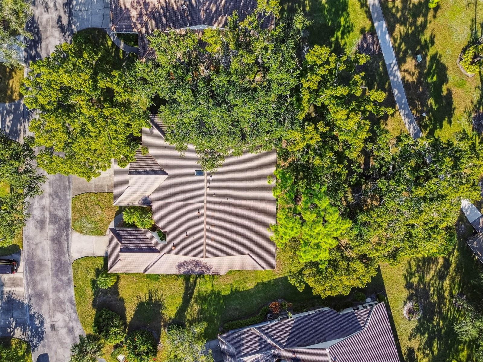 Image 36 of 49 For 5729 Garden Lakes Palm 98