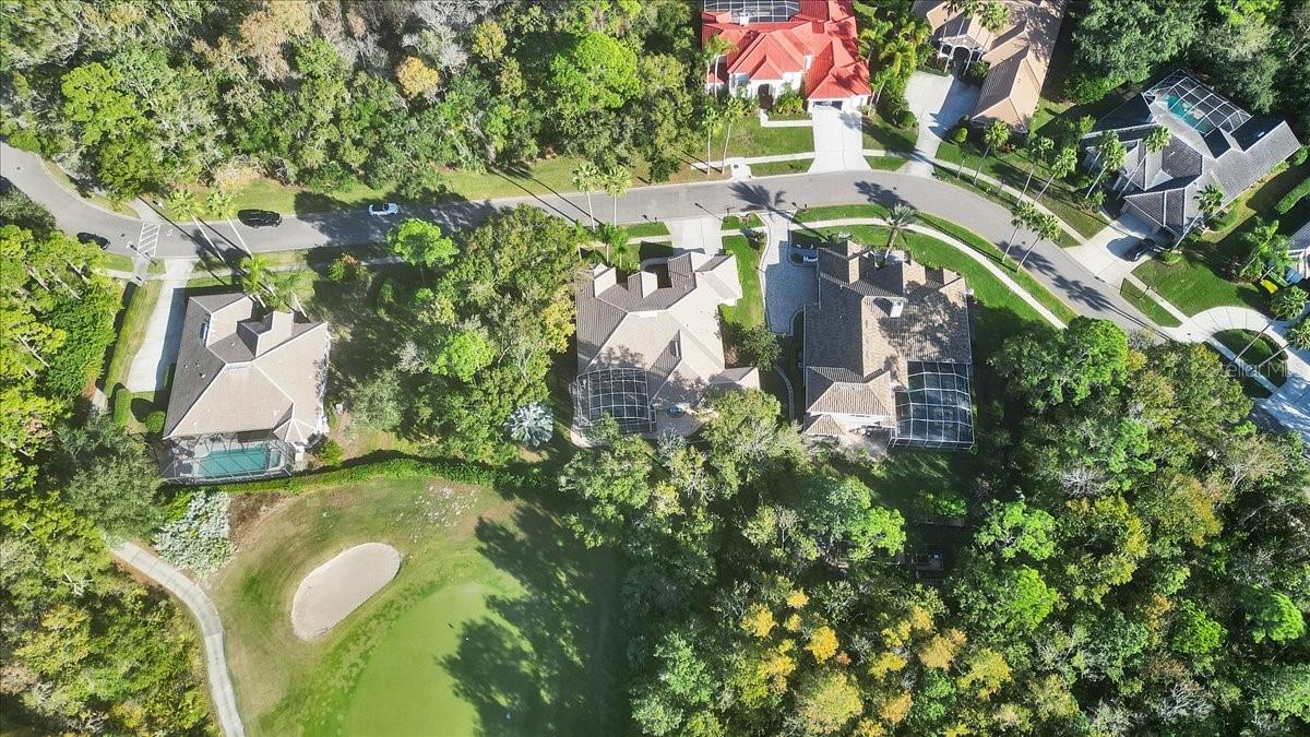 Image 81 of 97 For 9814 Emerald Links Drive