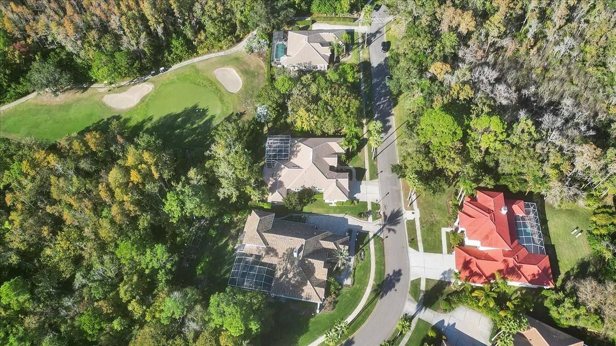 Image 82 of 97 For 9814 Emerald Links Drive