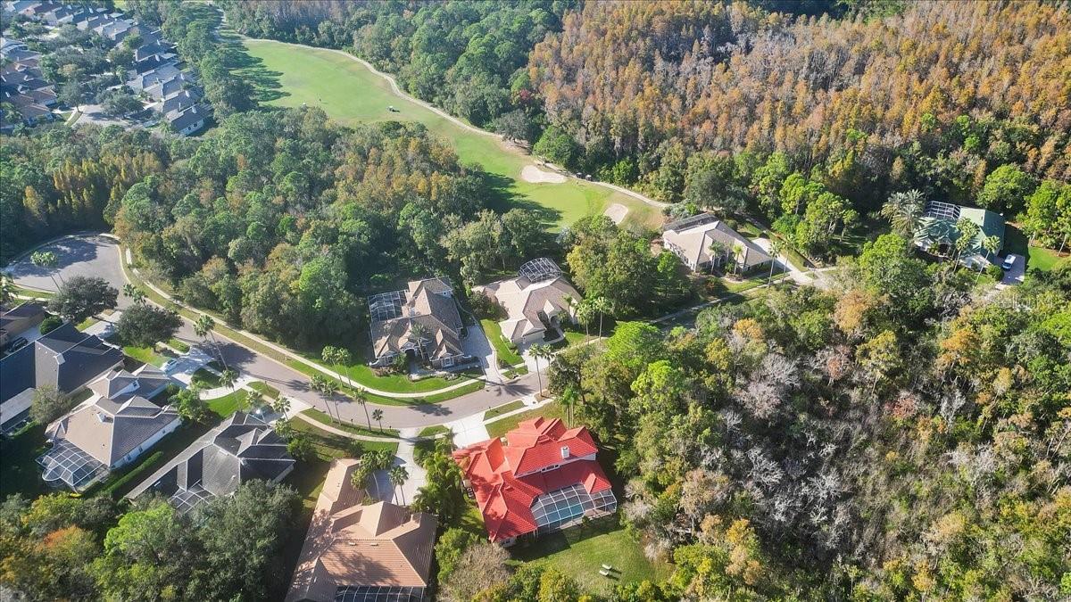 Image 83 of 97 For 9814 Emerald Links Drive