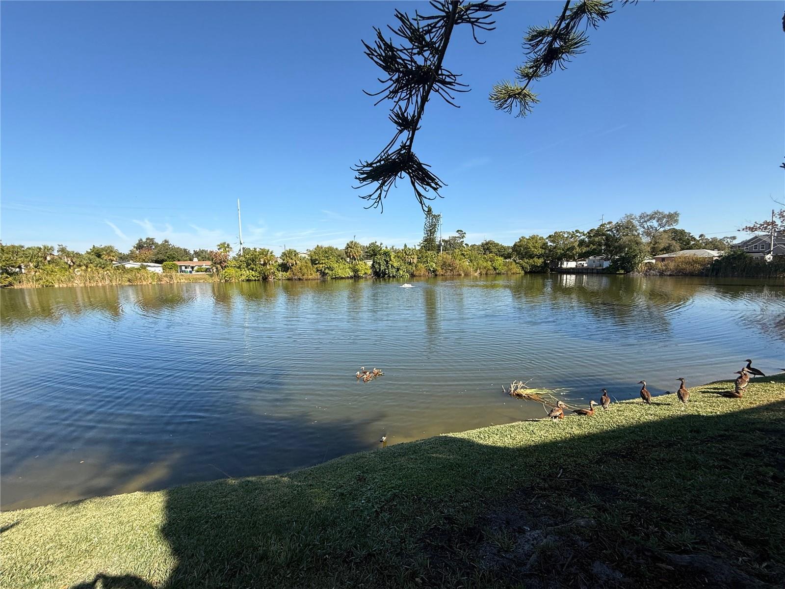 Image 3 of 24 For 3342 Wyoming Circle