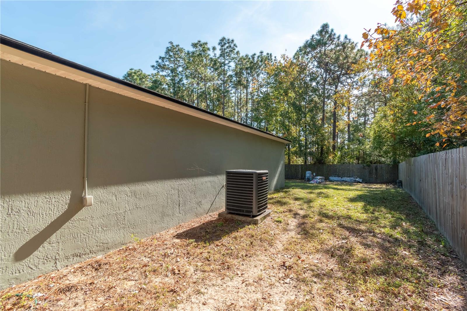 Image 31 of 46 For 49 Hemlock Trace